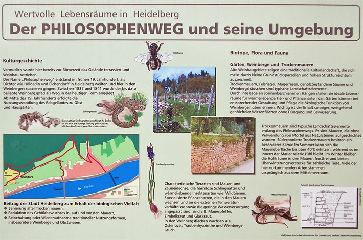 Schautafel vom Philosophenweg in Heidelberg