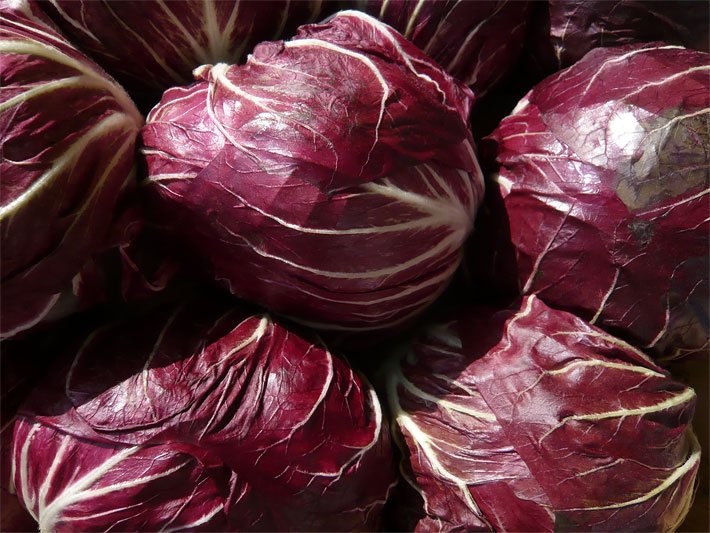 Rote Radicchio Rosso Salat-Köpfe nach der Ernte in einer Gemüsekiste