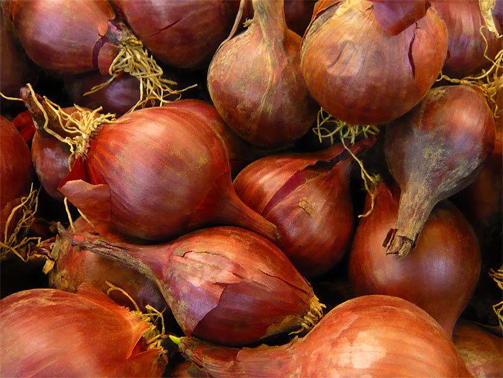 Rote Zwiebeln in einer Gemüse-Kiste von einem Bio-Markt