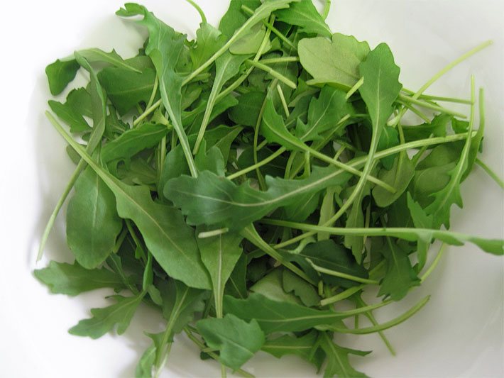 Grüne Rukola-Blätter auf einem weißen Teller