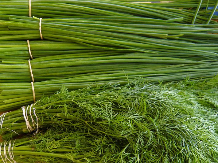 Mehrere Sträuße Schnittlauch und Dill