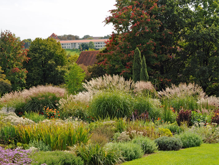 Der botanische Sichtungsgarten Weihenstephan mit Staudenbeet bestehend u.a. aus Ziergräsern und Beetblumen