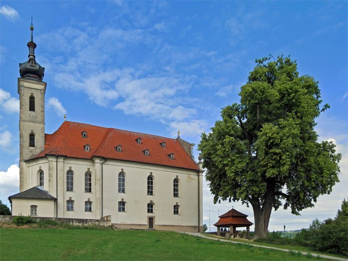 Sommerlinde mit Blatt-Austrieb im Spätfrühling neben der Wallfahrtskirche Maria Limbach