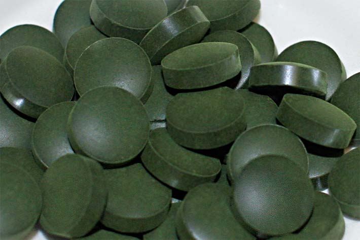 Dunkelgrüne tablettenförmige Presslinge der Spirulina-Alge