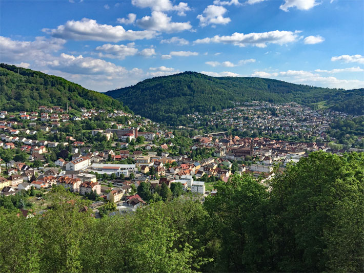Panorama-Aufnahme vom Turm auf dem Ohrsberg im Stadtwald von Eberbach