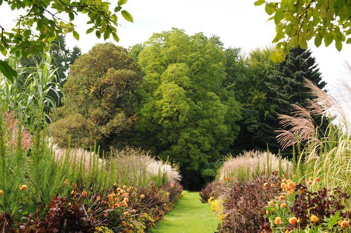 Staudengarten mit Gräsern und orangen Begonien