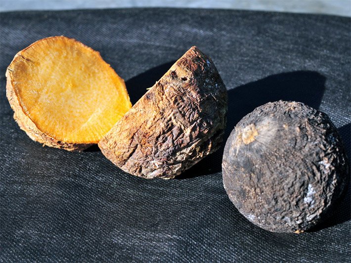 Rohe schwarze Knolle einer Steckrübe, auch Kohlrübe, neben einer hälftig aufgeschnittenen Knolle mit gelb-orangem Inneren beim Zubereiten