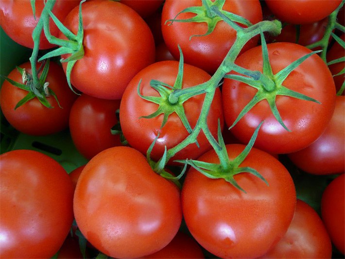 Aufeinander geschichtete, leuchtend rote ausgereifte Strauchtomaten mit Rispen, auch Rispentomaten genannt