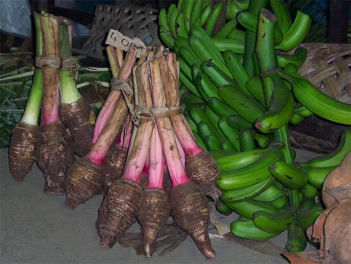 Mit Erde bedeckte Knollen der Taro-Pflanze, auch Wasserbrotwurzel, mit rotem und grünem Stil sowie grüne Bananen auf einem Gemüse-Markt