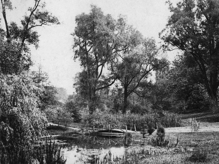 Die Brücke am Teich im Alten Botanischen Garten Kiel am Schwanenweg um das Jahr 1890 vom deutschen Fotograf Sophus Williams