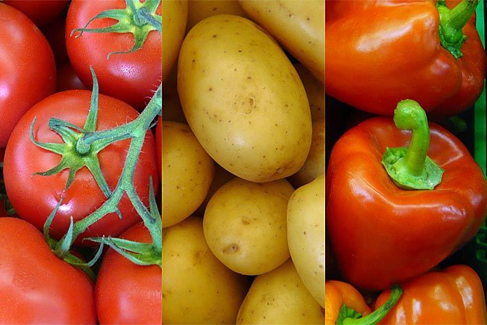 Tomaten, Kartoffeln und Paprika als Bild-Collage