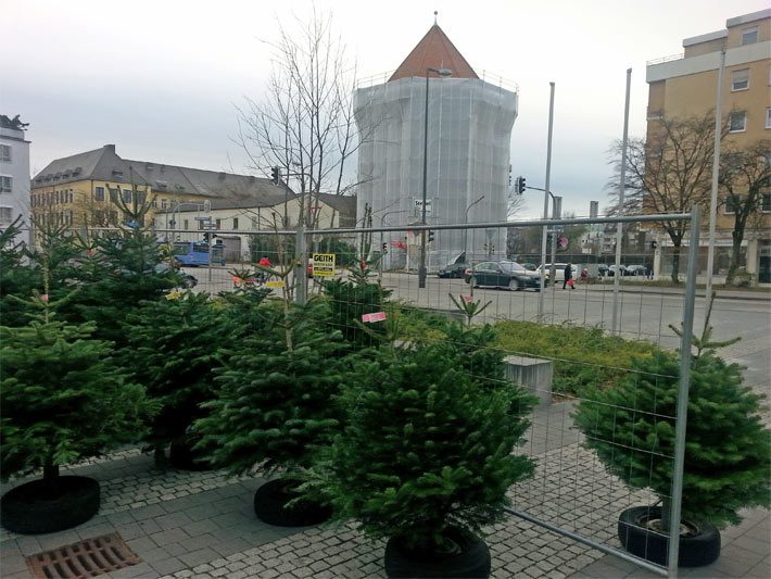 Weihnachtsbaumverkauf kleiner Nordmanntannen in der Stadtmitte von München