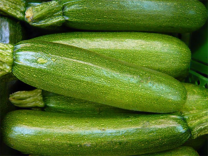 Grüne, längliche Zucchinis in einer Gemüsekiste