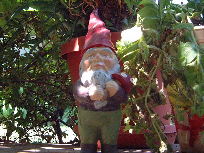 Zwerg mit einem Fliegenpilz, weissem Bart, roter Mütze neben einer Topfpflanze auf der Terrasse